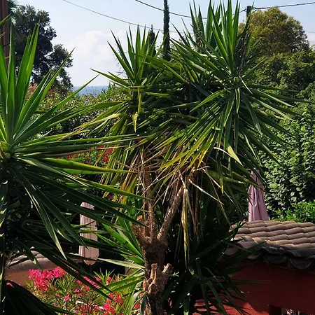 De La Plage Hotel Saint-Tropez