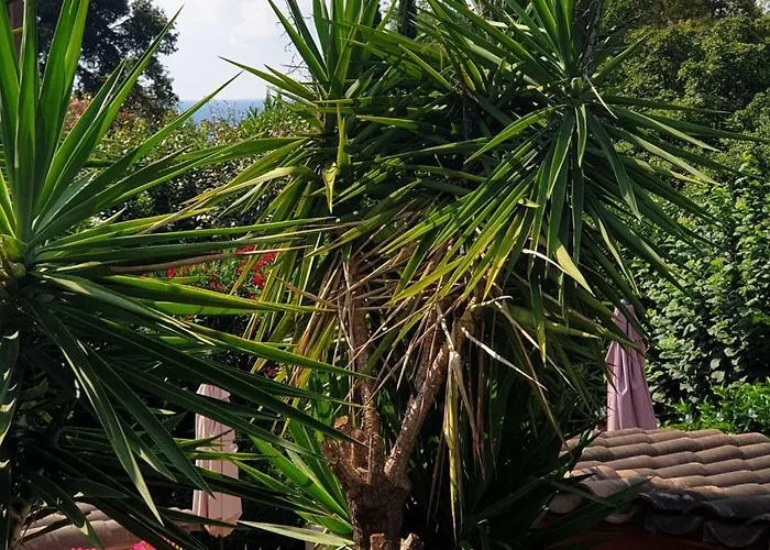 De La Plage Hotel Saint Tropez